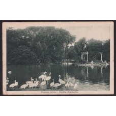 JARDIN ZOOLOGICO ANTIGUA TARJETA POSTAL